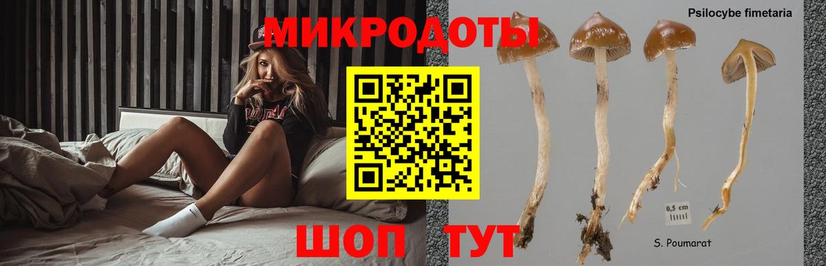 Псилоцибиновые грибы Magic Shrooms Глазов